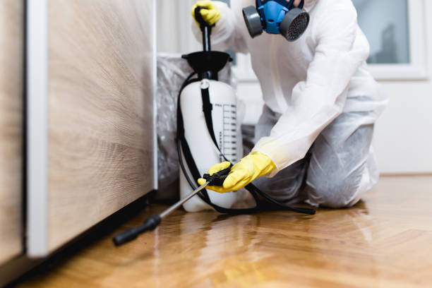 Best Termite Control Services  in Milton, GA